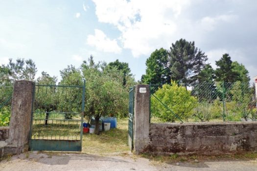1000 mq di terreno agricolo coltivato