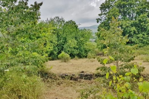 Terreno di circa 5000 mq con 80 mq circa di rudere