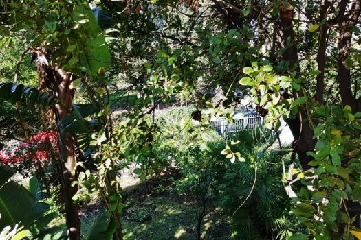 Esclusivo appartamento in villa sul mare