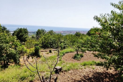 Splendido terreno panoramico ideale per realizzazione villa singola