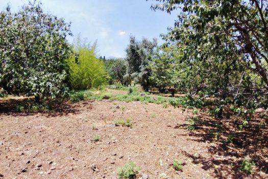 Splendido terreno panoramico ideale per realizzazione villa singola