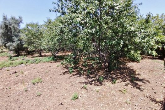 Splendido terreno panoramico ideale per realizzazione villa singola