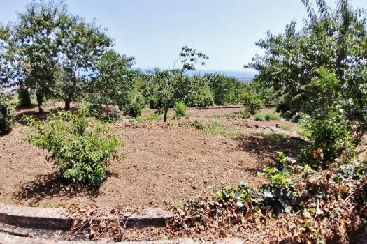 Splendido terreno panoramico ideale per realizzazione villa singola