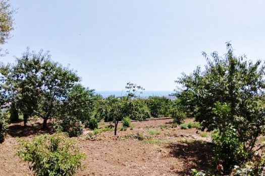 Splendido terreno panoramico ideale per realizzazione villa singola