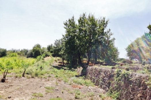 Splendido terreno panoramico ideale per realizzazione villa singola