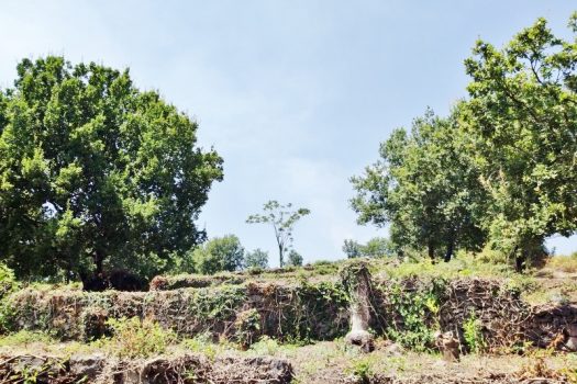 Splendido terreno panoramico ideale per realizzazione villa singola