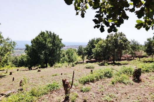 Splendido terreno panoramico ideale per realizzazione villa singola