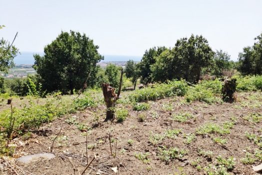 Splendido terreno panoramico ideale per realizzazione villa singola