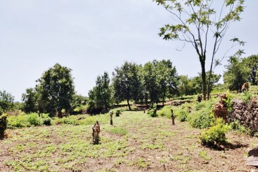 Splendido terreno panoramico ideale per realizzazione villa singola