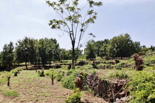 Splendido terreno panoramico ideale per realizzazione villa singola