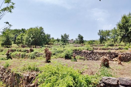 Splendido terreno panoramico ideale per realizzazione villa singola