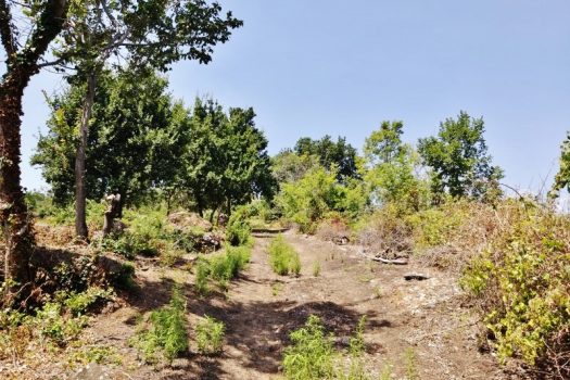 Splendido terreno panoramico ideale per realizzazione villa singola