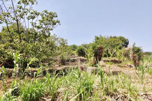 Splendido terreno panoramico ideale per realizzazione villa singola
