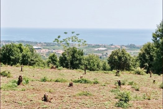 Splendido terreno panoramico ideale per realizzazione villa singola