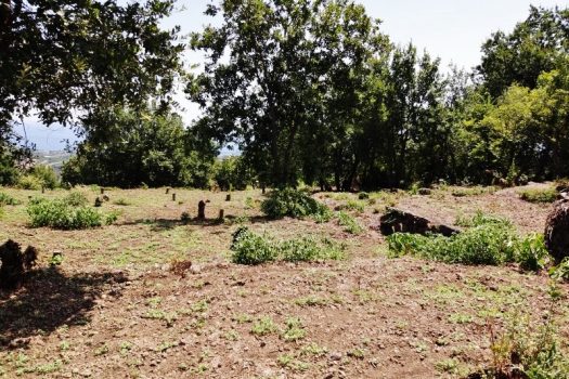 Splendido terreno panoramico ideale per realizzazione villa singola