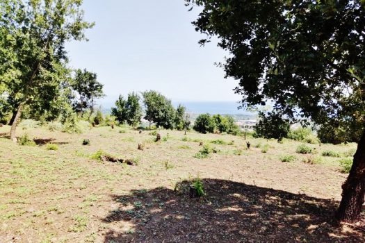 Splendido terreno panoramico ideale per realizzazione villa singola