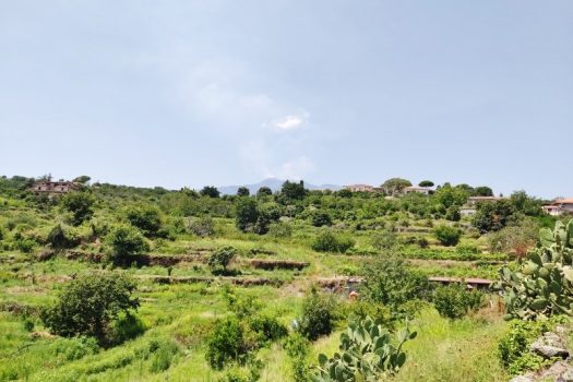 Splendido terreno panoramico ideale per realizzazione villa singola