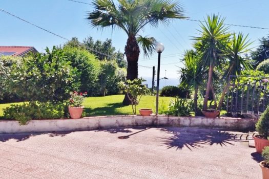 2 Appartamenti in villa con ampio spazio esterno