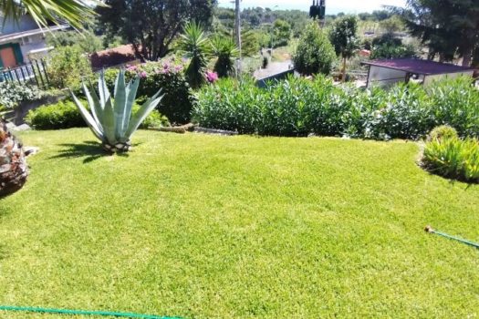 2 Appartamenti in villa con ampio spazio esterno