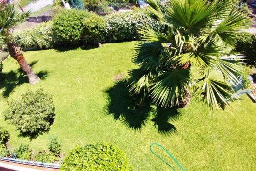 2 Appartamenti in villa con ampio spazio esterno