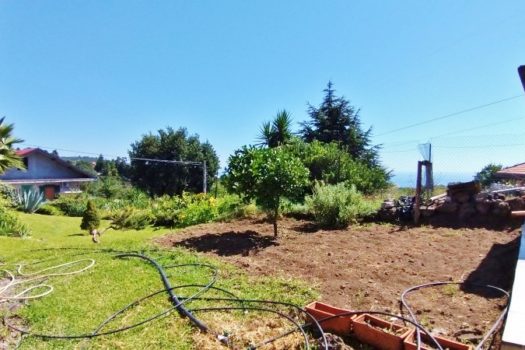 2 Appartamenti in villa con ampio spazio esterno