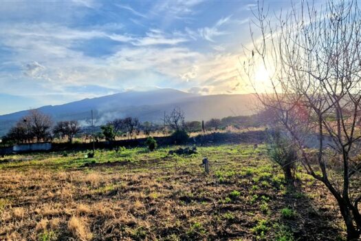 Terreno con splendido casale con progetto approvato più villino con dependance a 800 mt dal mare