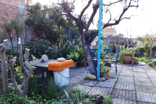 Graziosa casa indipendente totalmente ristrutturata con 300 mq di giardino