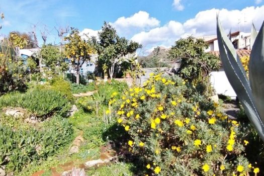 Graziosa casa indipendente totalmente ristrutturata con 300 mq di giardino