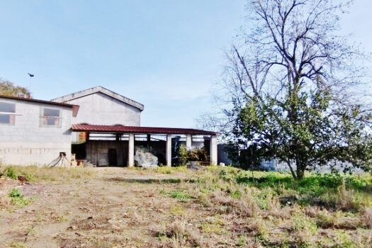 Terreno con splendido casale con progetto approvato più villino con dependance a 800 mt dal mare