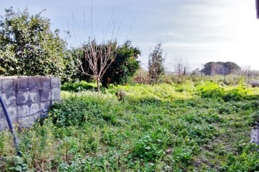 Terreno con splendido casale con progetto approvato più villino con dependance a 800 mt dal mare