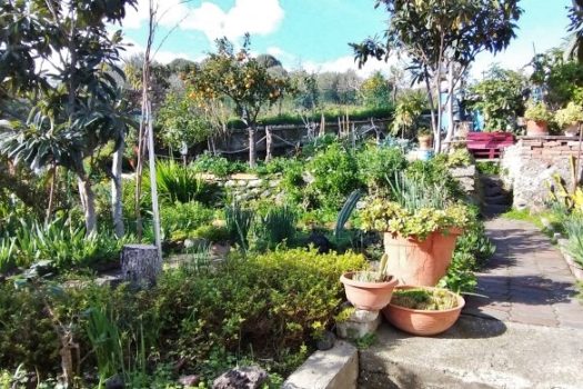 Graziosa casa indipendente totalmente ristrutturata con 300 mq di giardino