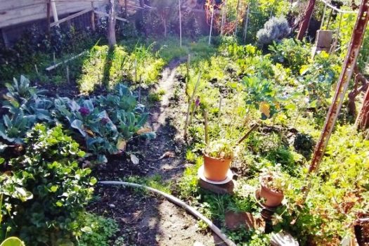 Graziosa casa indipendente totalmente ristrutturata con 300 mq di giardino