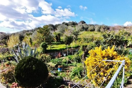 Graziosa casa indipendente totalmente ristrutturata con 300 mq di giardino