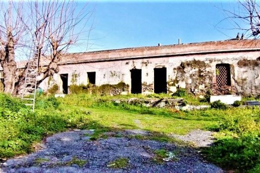 Terreno con splendido casale con progetto approvato più villino con dependance a 800 mt dal mare