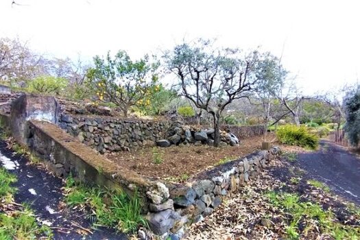 Terreno agricolo panoramico con diversi alberi da frutto