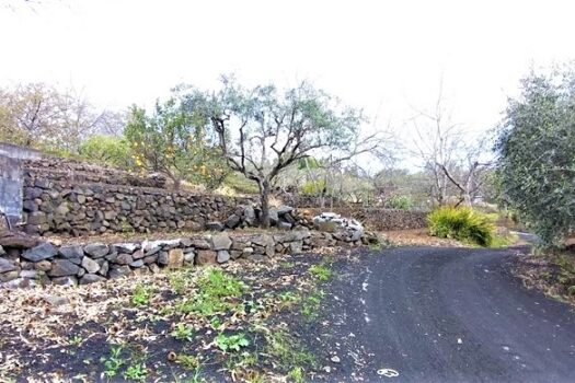 Terreno agricolo panoramico con diversi alberi da frutto