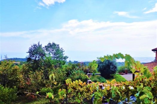 Panoramico villino con ampio terreno vicino il Castagno dei cento cavalli