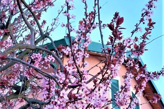 Panoramico villino con ampio terreno vicino il Castagno dei cento cavalli