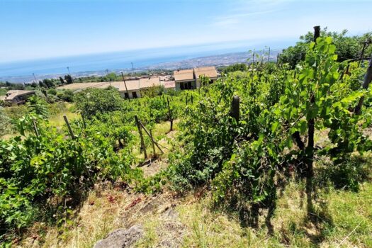 Splendido terreno panoramico di 7500 mq, ricadente in zona C4 turistico-alberghiera