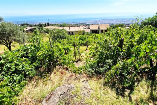 Splendido terreno panoramico di 7500 mq, ricadente in zona C4 turistico-alberghiera