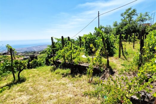 Splendido terreno panoramico di 7500 mq, ricadente in zona C4 turistico-alberghiera