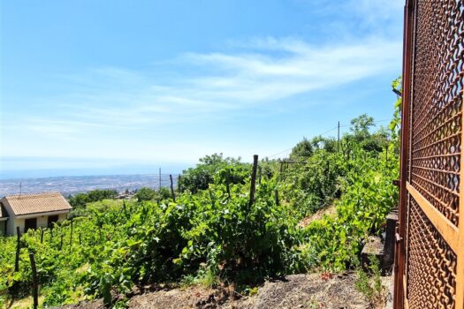 Splendido terreno panoramico di 7500 mq, ricadente in zona C4 turistico-alberghiera