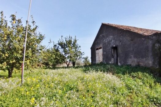 Antico casale con progetto approvato e 4000 mq di terreno a 700 mt dal mare