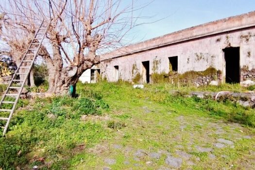 Antico casale con progetto approvato e 4000 mq di terreno a 700 mt dal mare