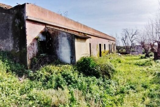 Antico casale con progetto approvato e 4000 mq di terreno a 700 mt dal mare