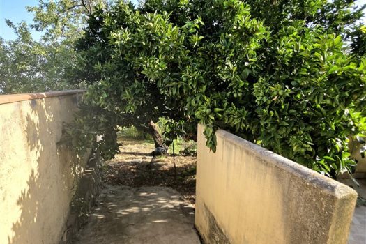 Rustico Indipendente con Palmento e Terreno a Sant’Alfio