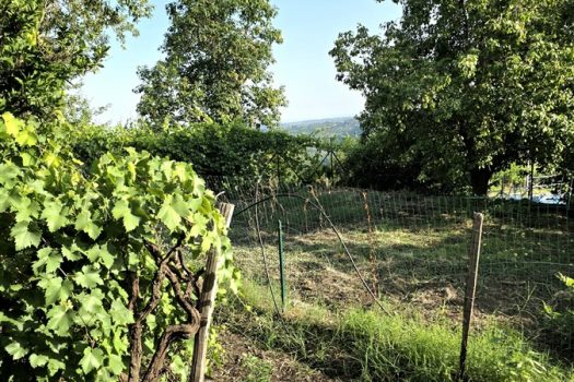 Rustico Indipendente con Palmento e Terreno a Sant’Alfio