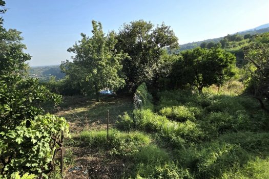 Rustico Indipendente con Palmento e Terreno a Sant’Alfio